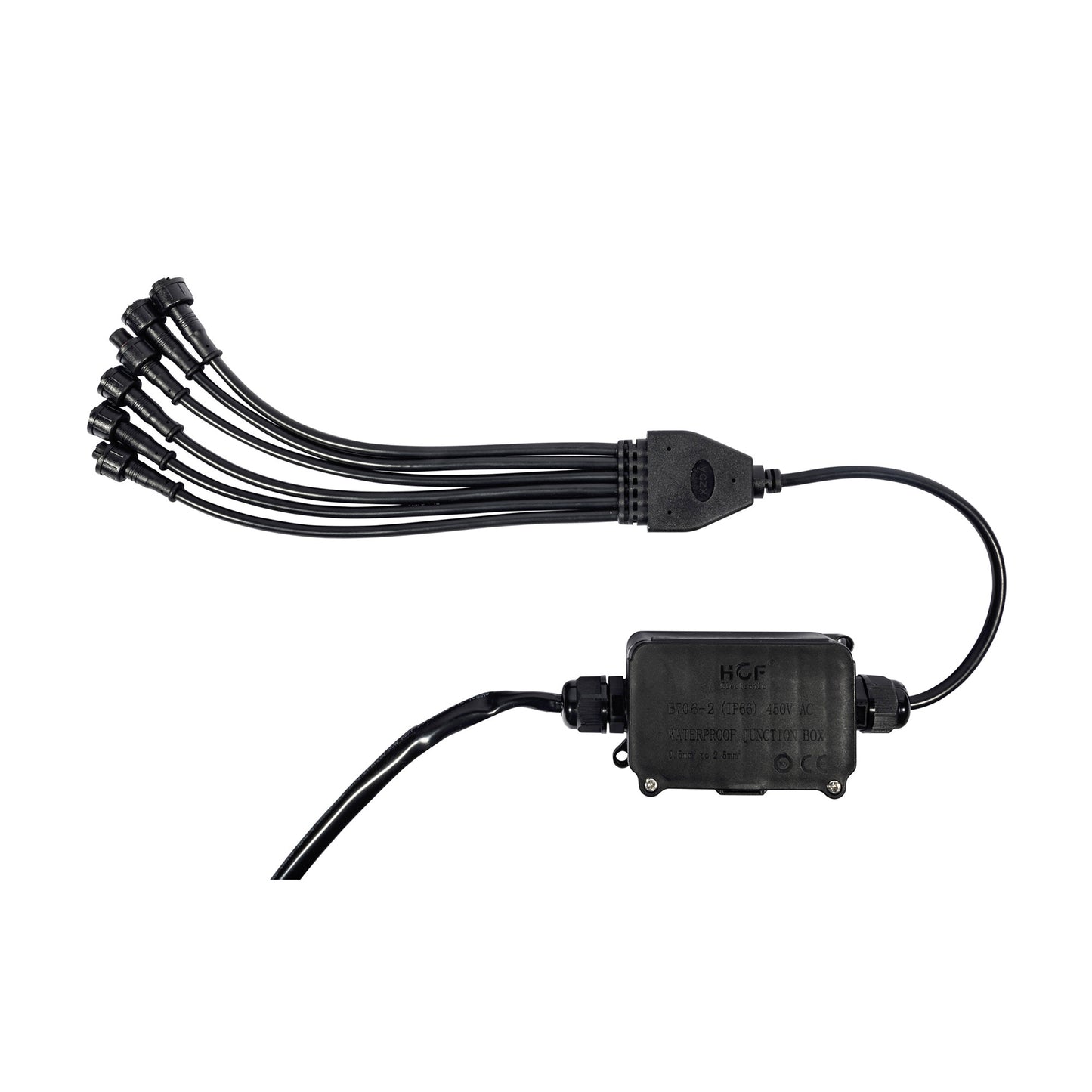339_Aux_Light_4.jpg