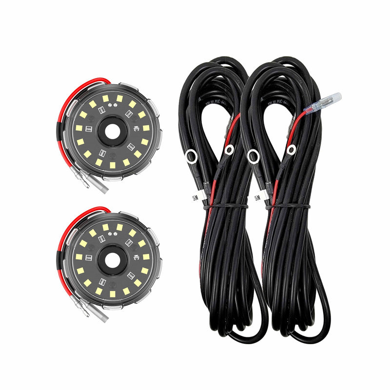 Bulbs & Wiring