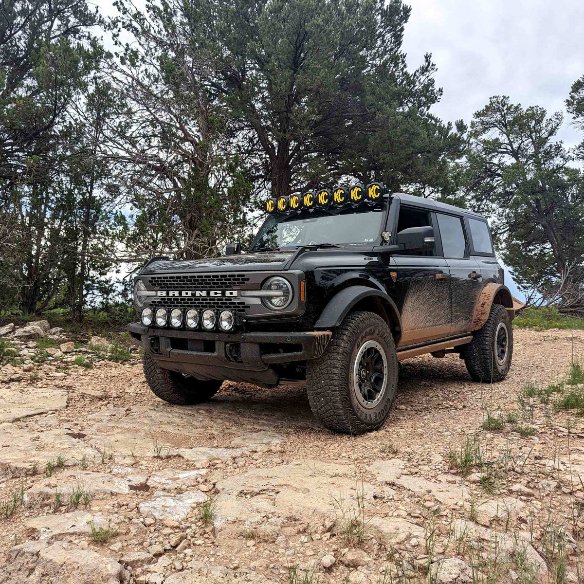 91341_Vehicle_Light_System_12.jpg