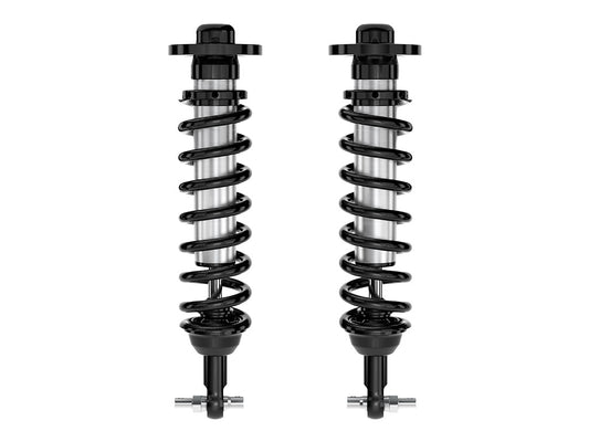91722_Coilover_PAIR_STRT.jpg