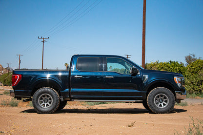 F150_Blue4_WEBLARGE.jpg