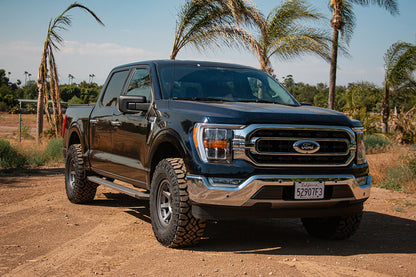 F150_Blue_2_WEBLARGE.jpg
