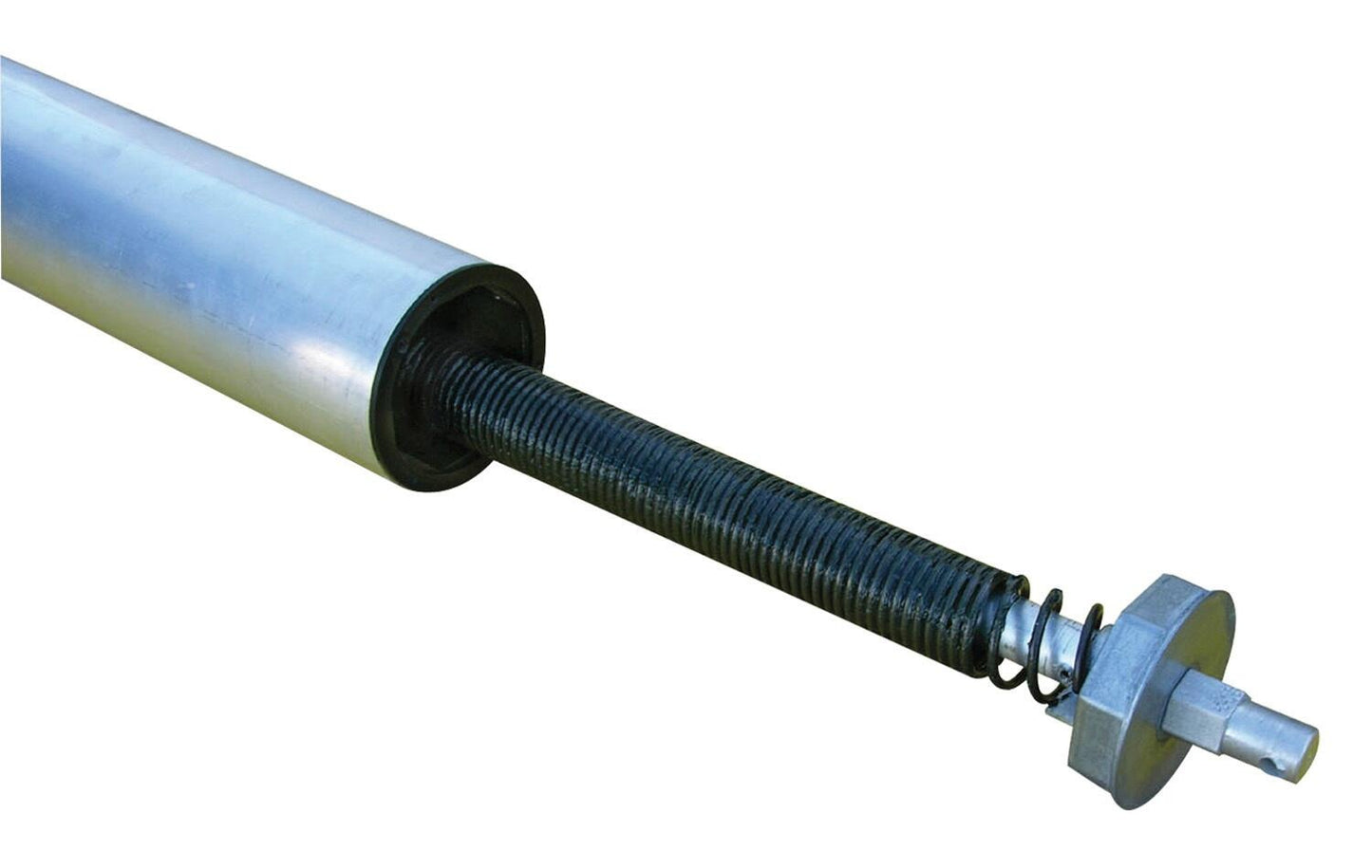 RNLlg119m_v2_20110222.jpg