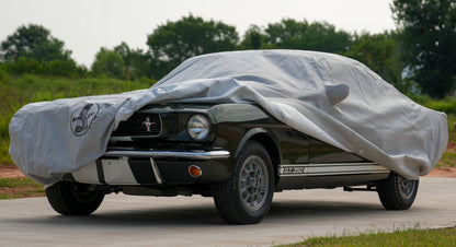 c_ac_ford_shelby_alt1.jpg