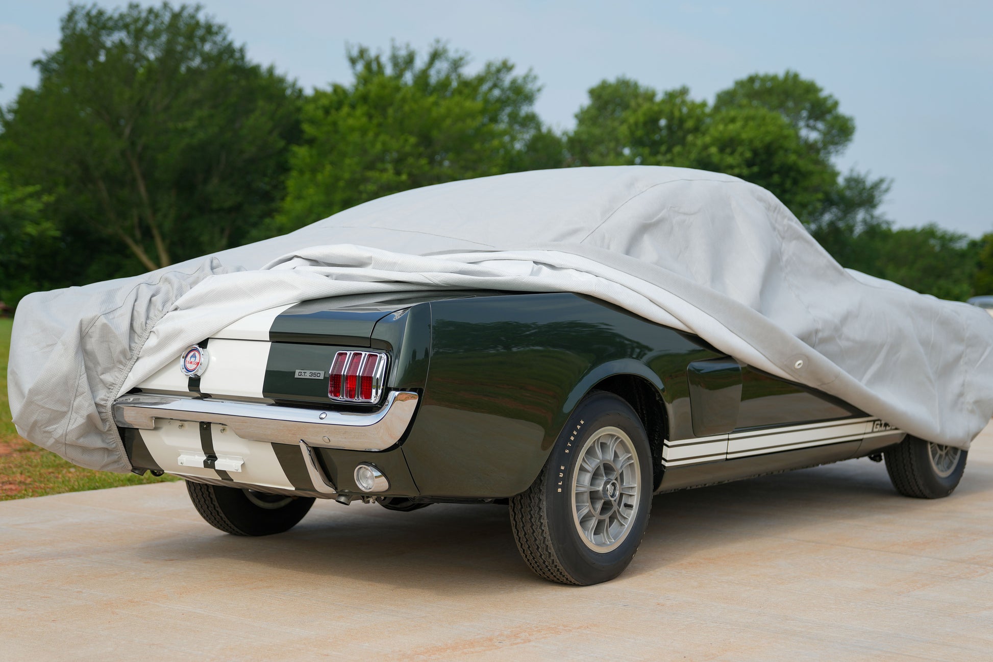 c_ac_ford_shelby_alt2.jpg