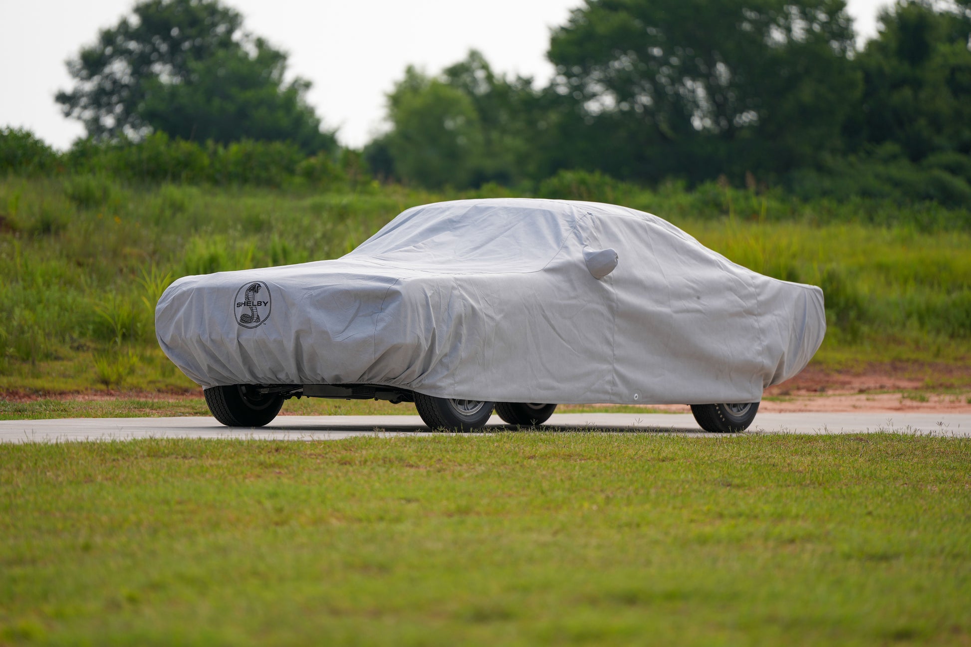 c_ac_ford_shelby_alt3.jpg