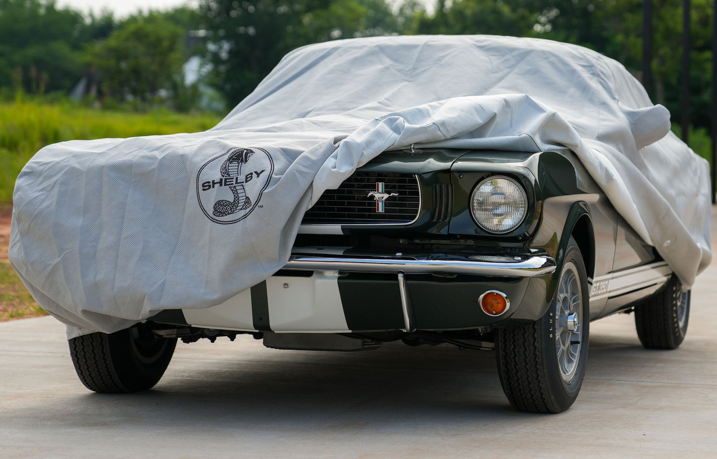 c_ac_ford_shelby_alt4.jpg