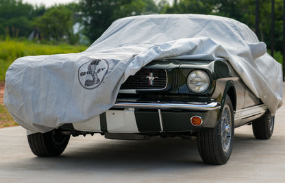 c_ac_ford_shelby_alt4.jpg