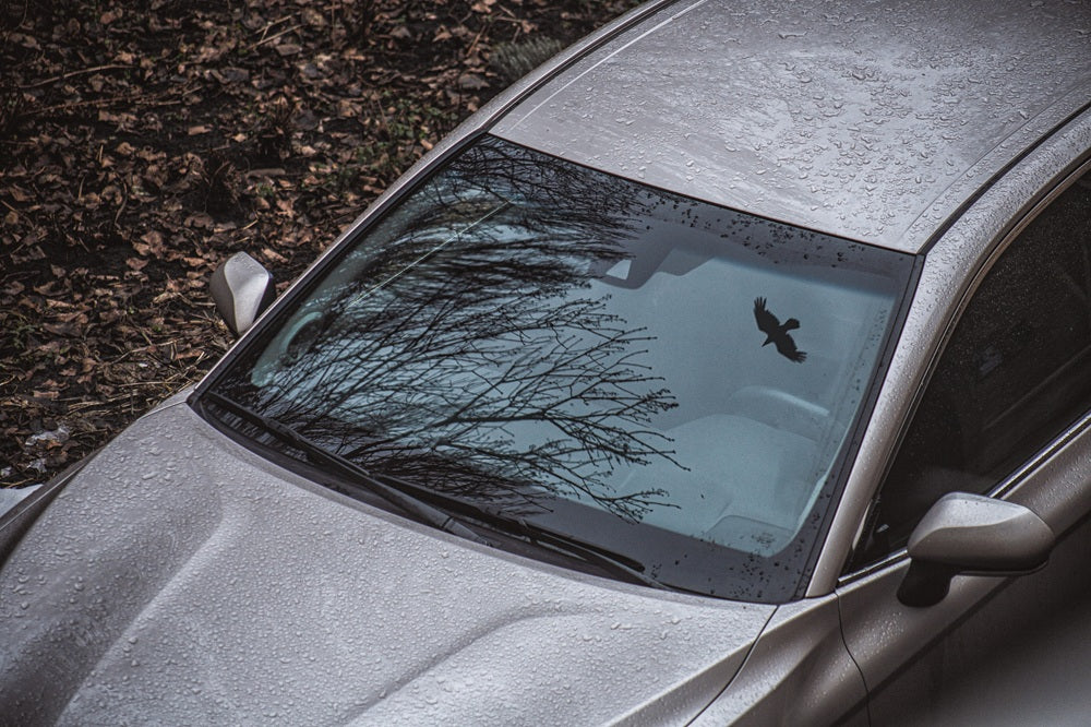 Windshield Strip